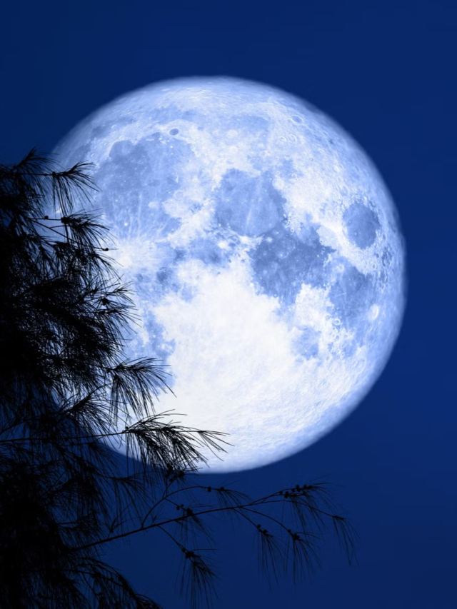 Get Ready for the Mesmerizing Super Blue Moon Show of 2023 TechFin