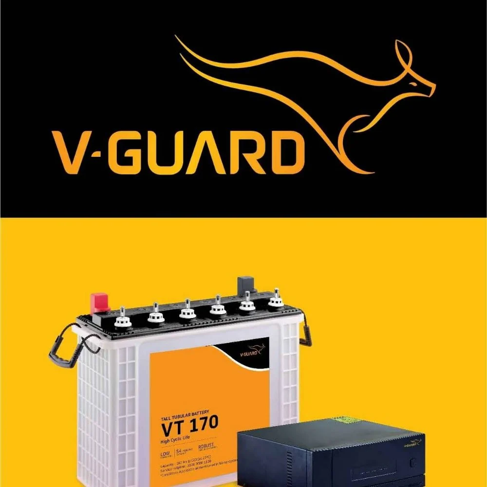 Vguard battery inverter